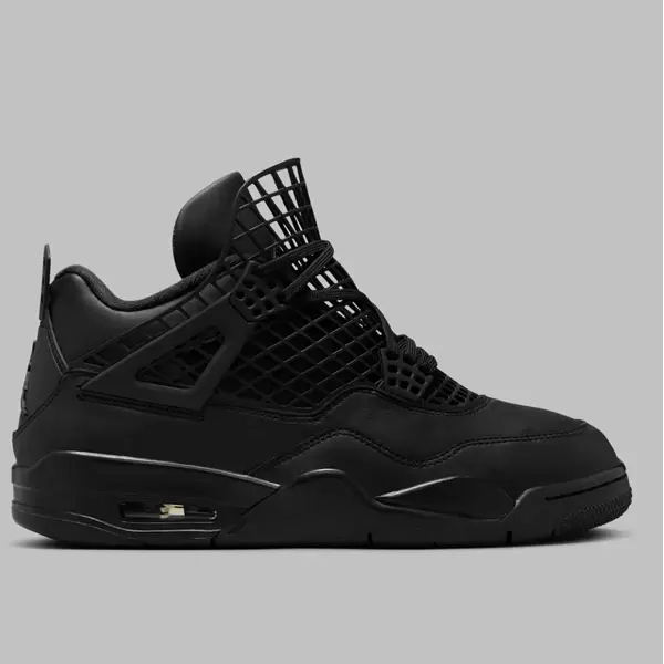 Air Jordan 4 NET