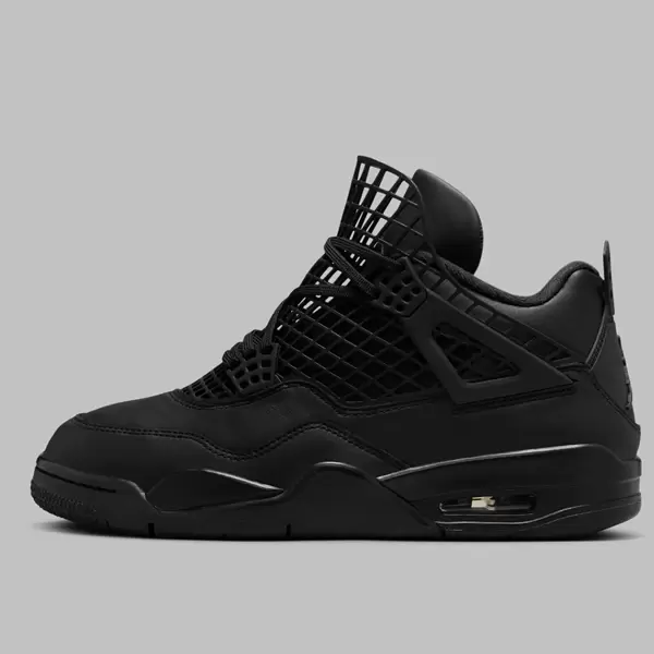 Air Jordan 4 NET