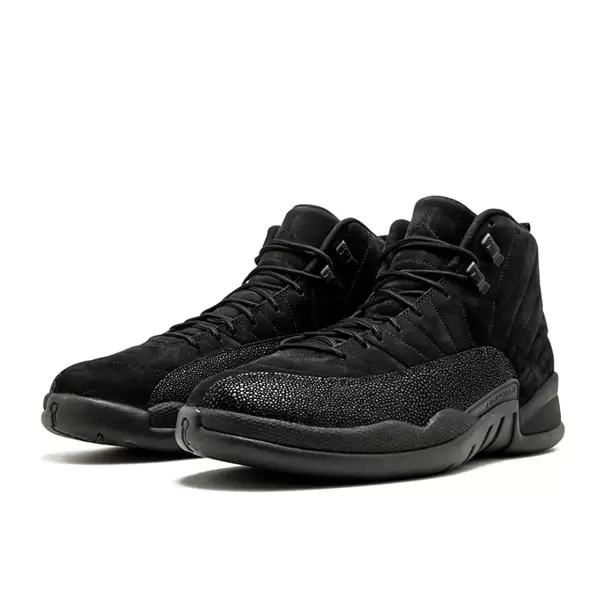 Jordan 12 Retro Flue Game